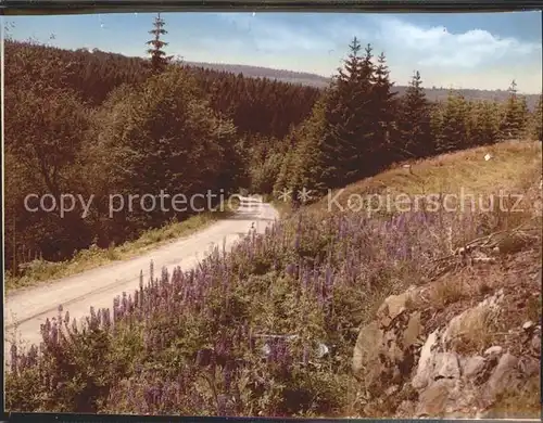 Willingen Sauerland Paradies Landschaft Kat. Willingen (Upland)