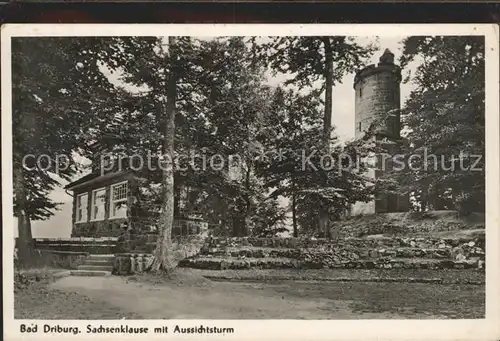 Bad Driburg Sachsenklause Aussichtsturm Kat. Bad Driburg