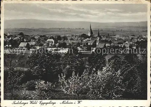 Nieheim Teuteburger Wald Eggegebirge Kat. Nieheim