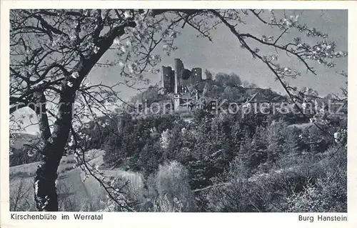 Bornhagen Kirschenbluete im Werratal Burg Hanstein Kat. Bornhagen