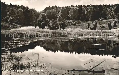 Wilsede Lueneburger Heide Partie im Schlangengrund Teich / Bispingen /Soltau-Fallingbostel LKR