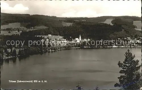 Titisee Panorama Schwarzwald Kat. Titisee Neustadt