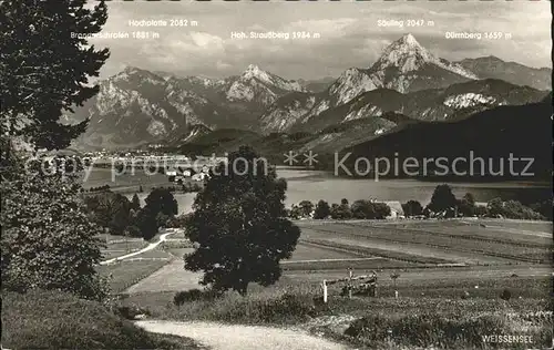 Weissensee Fuessen Panorama Allgaeuer Hochgebirge Kat. Fuessen