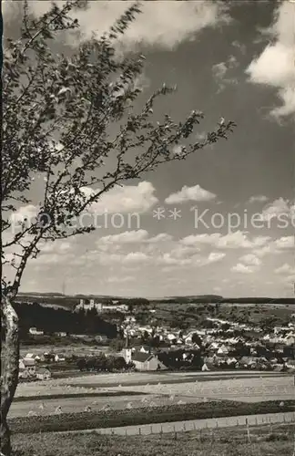 Wetteldorf Panorama Luftkurort Burgruine Kat. Schoenecken