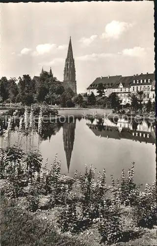 Freiburg Breisgau Stadtgarten mit Muenster Kat. Freiburg im Breisgau