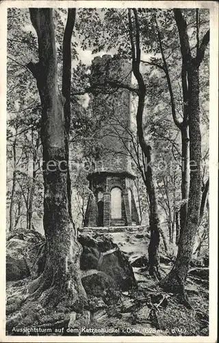 Waldbrunn Odenwald Aussichtsturm Katzenbuckel Kat. Waldbrunn