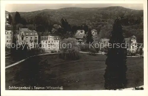 Schlangenbad Taunus Wiesental Kat. Schlangenbad