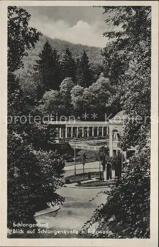 Schlangenbad Taunus Schlangenquelle Kolonade Kat. Schlangenbad