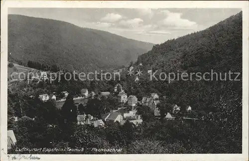 Eppstein Taunus Fischbachtal Kat. Eppstein