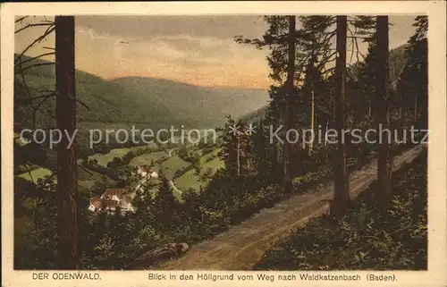 Waldkatzenbach Blick in den Hoellengrund Kat. Waldbrunn