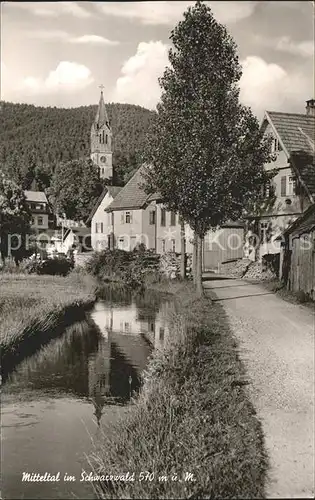 Mitteltal Schwarzwald  Kat. Baiersbronn