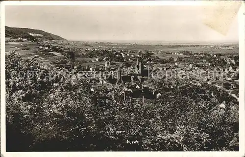 Neustadt Weinstrasse Panorama Kat. Neustadt an der Weinstr.