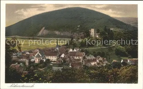 Neckarsteinach Gesamtansicht Burg Kat. Neckarsteinach