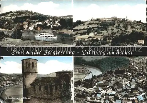 Dilsberg Neckar Ausflugsdampfer Bergfestung Schwalbennest Kat. Neckargemuend