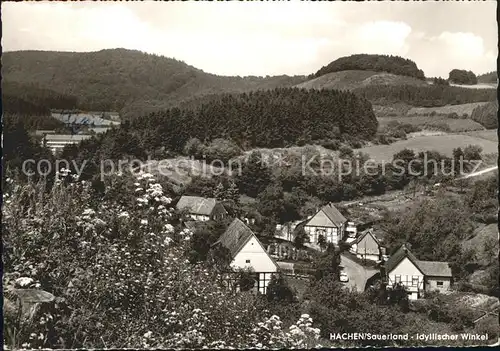 Hachen Sauerland idyllischer Winke Kat. Sundern (Sauerland)