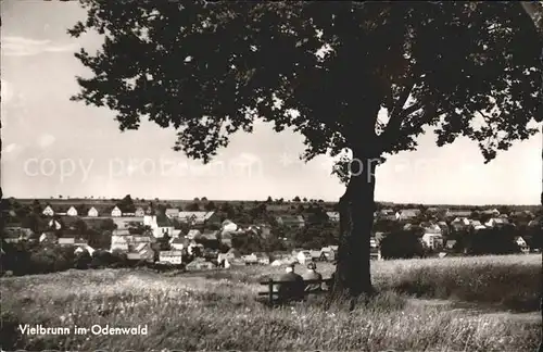 Vielbrunn Totalansicht Kat. Michelstadt