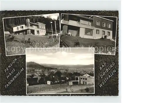 Bad Driburg Pension Haus Tannenheim Ortansicht Kat. Bad Driburg