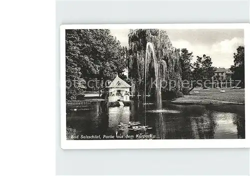 Bad Salzschlirf Kurpark Teich Springbrunnen Kat. Bad Salzschlirf