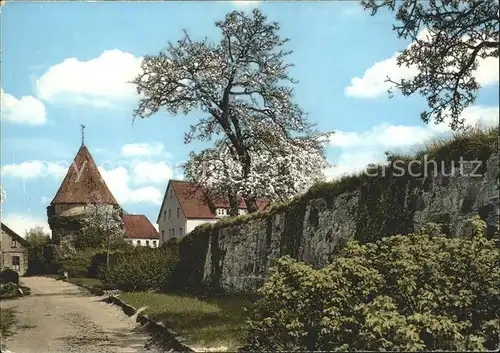 Horn Lippe Stadtmauer Eulenturm  Kat. Horn Bad Meinberg