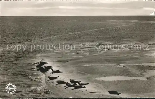 Insel Foehr Seehundsbank Fliegeraufnahme Kat. Wyk auf Foehr