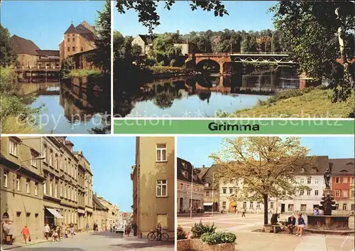 Grimma An der Mulde Bruecke Albert Kuntz Strasse Markt Brunnen Kat. Grimma