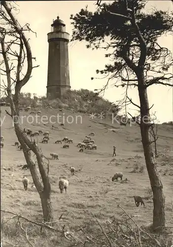 Insel Hiddensee Leuchtturm am Dornbusch Kat. Insel Hiddensee