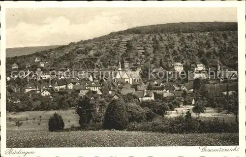 Buedingen Hessen Gesamtansicht Kat. Buedingen