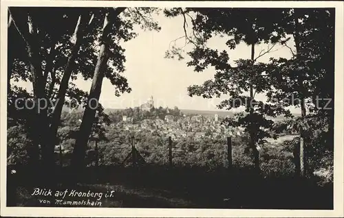 Kronberg Taunus Blick von Mammolshain Kat. Kronberg im Taunus