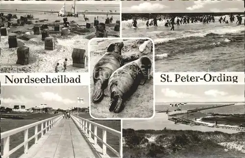 St Peter Ording Strand Bruecke Seehunde Kat. Sankt Peter Ording