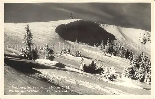 Feldberg Schwarzwald Waechte am Seebuck mit Bismarckdenkmal Kat. Feldberg (Schwarzwald)