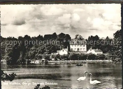 Bad Nauheim Grosser Teich mit Teichhaus Kat. Bad Nauheim