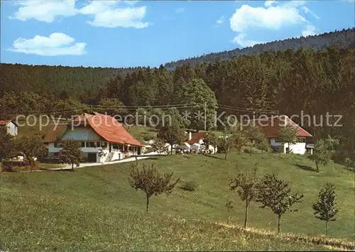 Oberharmersbach Bergwitschaft Durben Ferienwohnungen Kat. Oberharmersbach