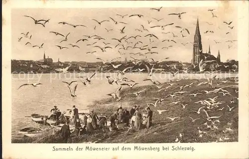 Schleswig Holstein Sammeln der Moeweneier auf Moewenberg Kat. Schleswig