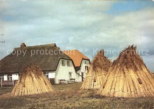 Insel Hiddensee Reetdachhaus Schilfrohr Kat. Insel Hiddensee