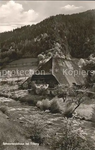 Triberg Schwarzwald Schwarzwaldhaus Kat. Triberg im Schwarzwald