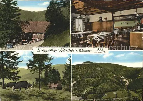 Seebach Ortenaukreis Gasthof Pension Kernhof Kuehe  Kat. Seebach