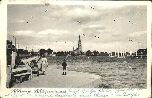 Schleswig Holstein Schleipromenade Kirche Moewen Kat. Schleswig