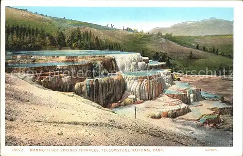 Yellowstone National Park Mammoth Hot Springs Terraces Kat. Yellowstone National Park