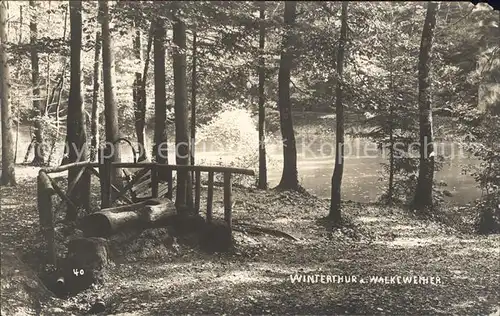 Winterthur Walkeweiher Waldpartie Kat. Winterthur