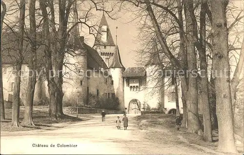 Colombier NE Chateau Schloss Kat. Colombier NE