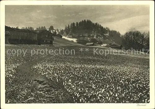 Stels Fruehling Landschaft Kat. Stels