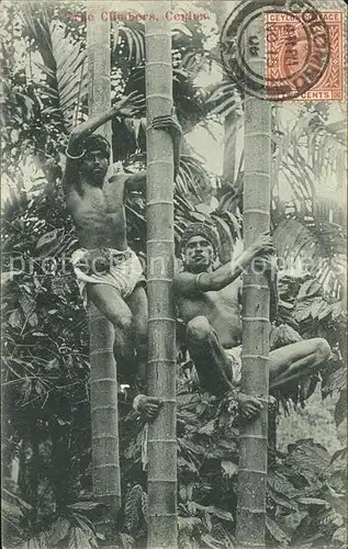 Colombo Ceylon Sri Lanka Typen Tree Climbers  / Colombo /