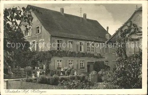 Haltingen Badischer Hof / Weil am Rhein /Loerrach LKR