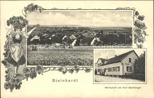 Steinhardt Wirtschaft Bamberger Stadtansicht / Bad Sobernheim /Bad Kreuznach LKR