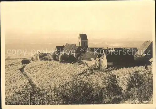 oetlingen Weil Rhein Reben Kirche / Weil am Rhein /Loerrach LKR