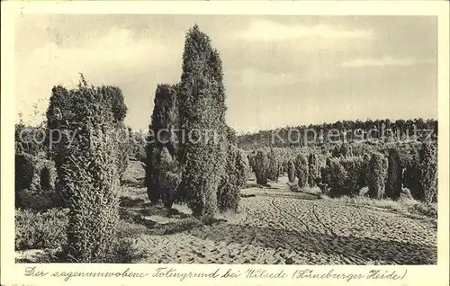 Wilsede Lueneburger Heide Totengrund Lueneburger Heide / Bispingen /Soltau-Fallingbostel LKR