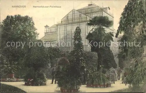 Hannover Herrenhaeuser Palmhaus Kat. Hannover