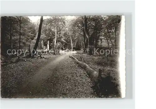 Bockhorn Friesland Urwald / Bockhorn /Friesland LKR