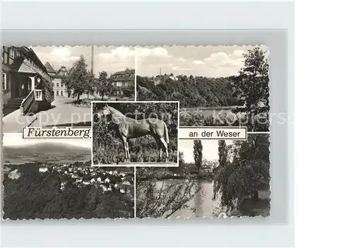 Fuerstenberg Weser Pferdestatue Fliegeraufnahme Teich  Kat. Fuerstenberg