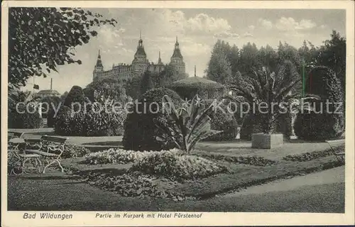 Bad Wildungen Partie im Kurpark mit Hotel Fuerstenhof Kat. Bad Wildungen